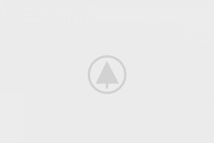 wood-portfolio-placeholder wood-portfolio-placeholder